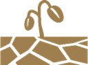 Step icon