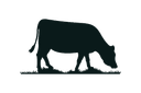 Custom Icon