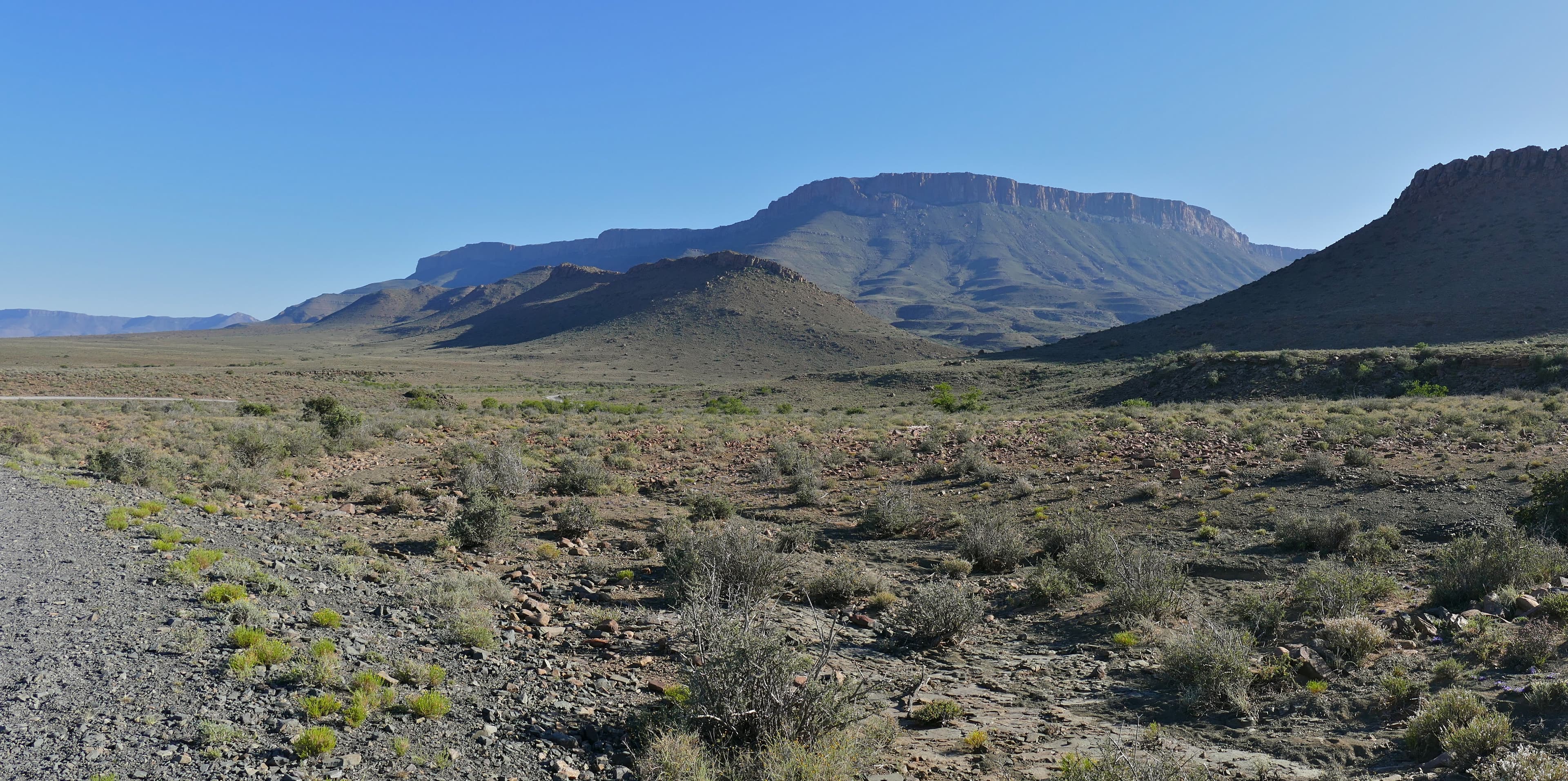 Karoo landscape