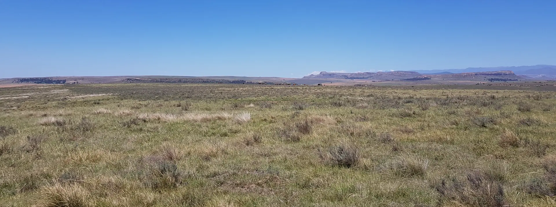 Open South African veld under a clear sky