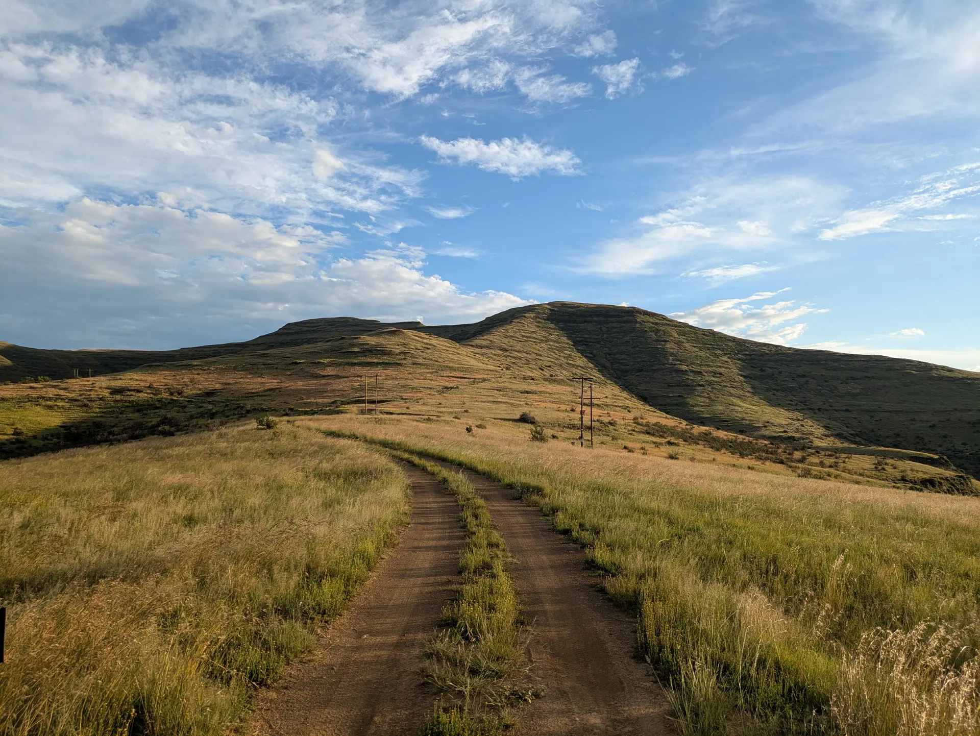 Farm track through South African veld